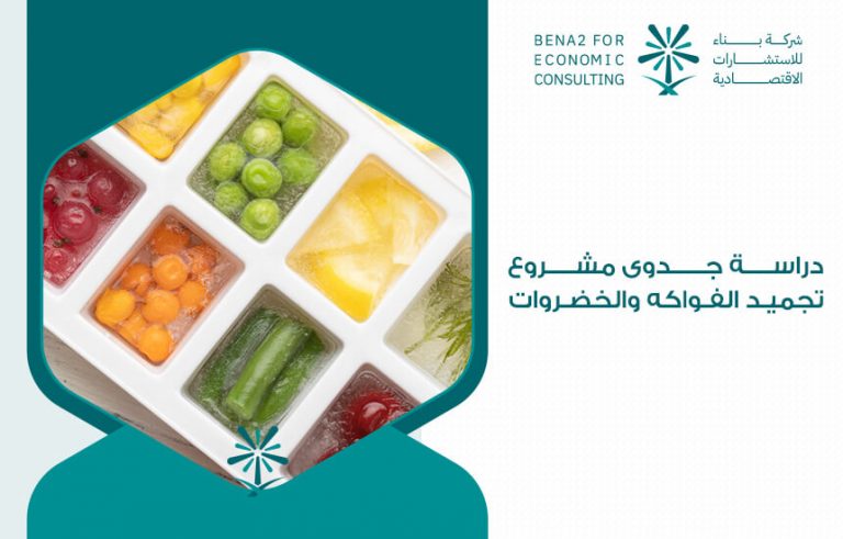 دراسة جدوى مشروع تجميد الفواكه والخضروات