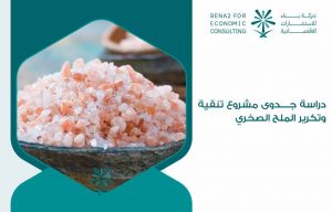 دراسة جدوى مشروع تنقية وتكرير الملح الصخري